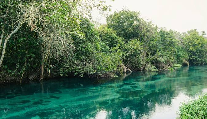 O Guia Completo para Explorar Bonito, MS: Aventuras na Natureza